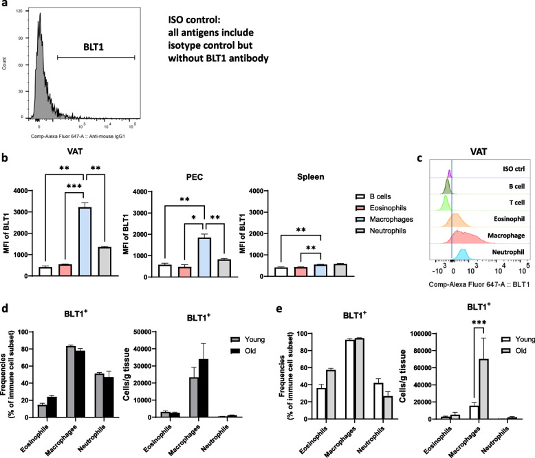 Role for BLT1 in regulating inflammation within adipose tissue immune cells of aged mice.