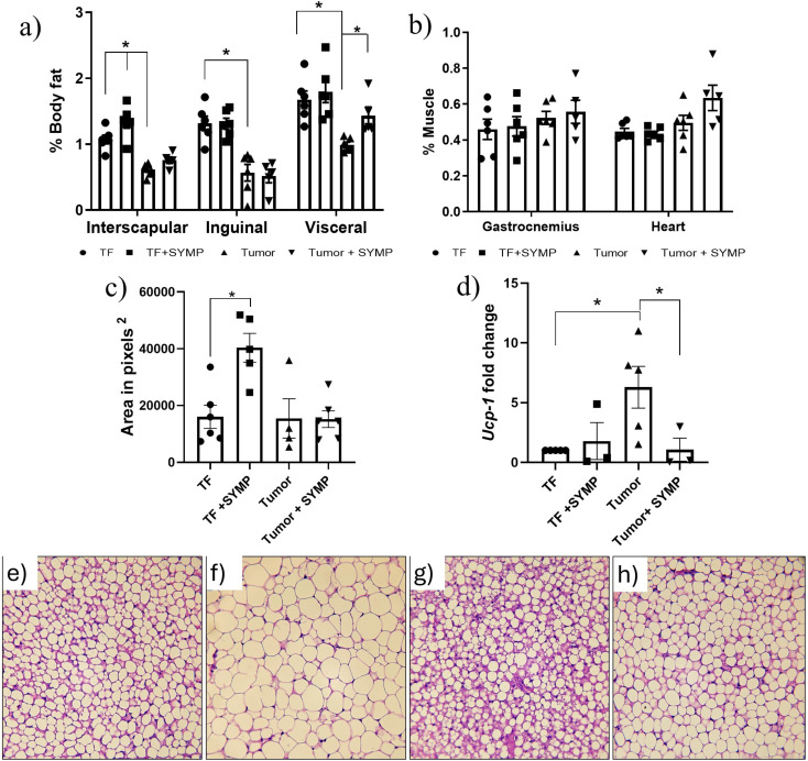 Role of the sympathetic nervous system in cancer-associated cachexia and tumor progression in tumor-bearing BALB/c mice.