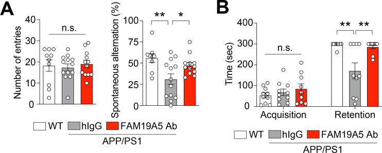 FAM19A5 Deficiency Mitigates the Aβ Plaque Burden and Improves Cognition in Mouse Models of Alzheimer's Disease.