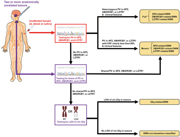Historical Development of Diagnostic Criteria for NF2-related Schwannomatosis.