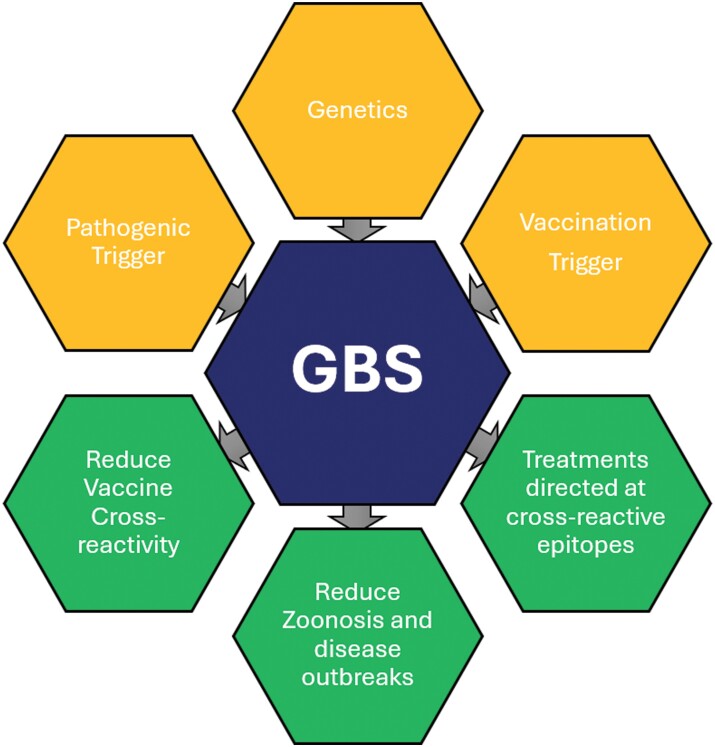 Guillain-Barré syndrome.