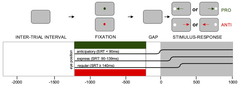 Oculomotor behaviors in youth with an eating disorder: findings from a video-based eye tracking task.