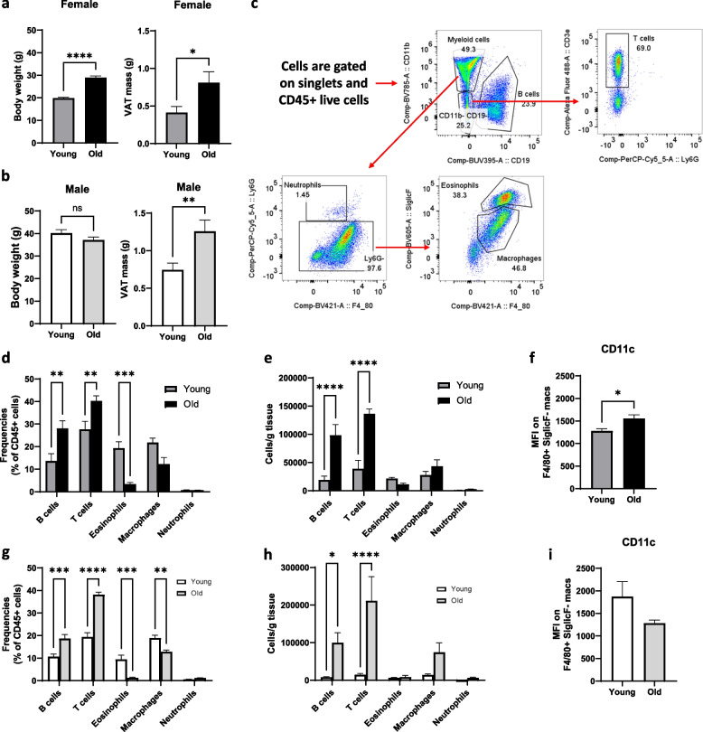 Role for BLT1 in regulating inflammation within adipose tissue immune cells of aged mice.