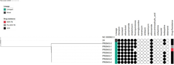 Clinical application of whole-genome sequencing in the management of extensively drug-resistant tuberculosis: a case report.