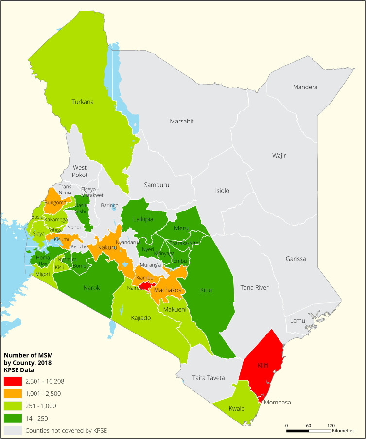 Programmatic mapping and estimating the population size of female sex workers, men who have sex with men, people who inject drugs and transgender populations in Kenya.