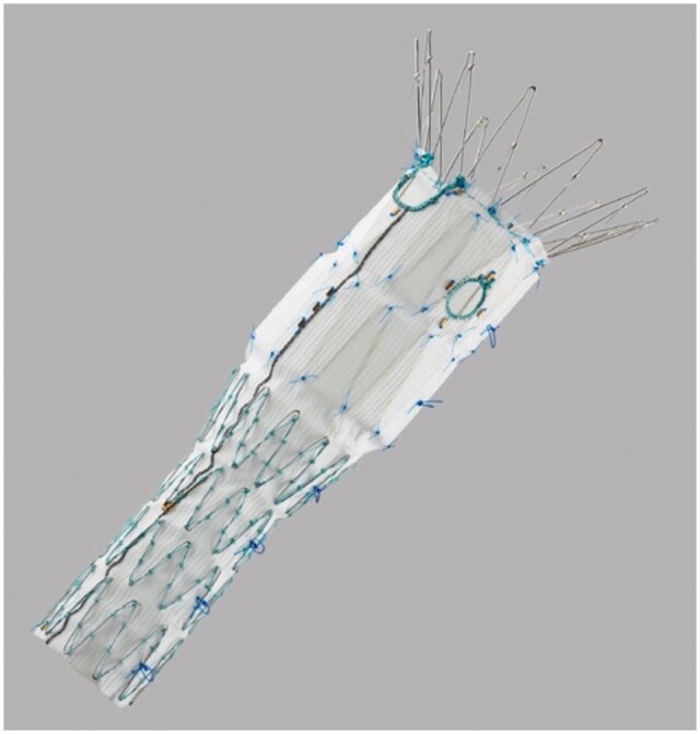 Abstract Image