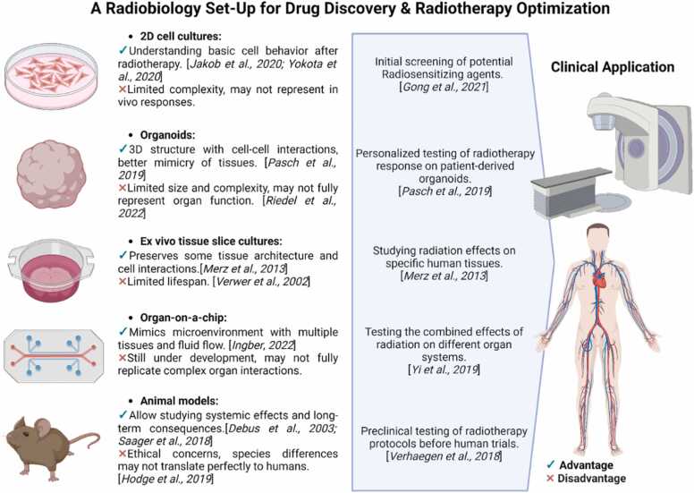 Particle Beam Radiobiology Status and Challenges: A PTCOG Radiobiology Subcommittee Report.