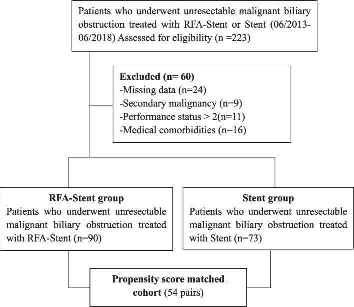Percutaneous endobiliary radiofrequency ablation and stent placement for unresectable malignant biliary obstruction: a propensity score matching retrospective study.