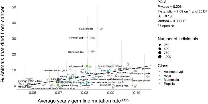 Germline mutation rate predicts cancer mortality across 37 vertebrate species.