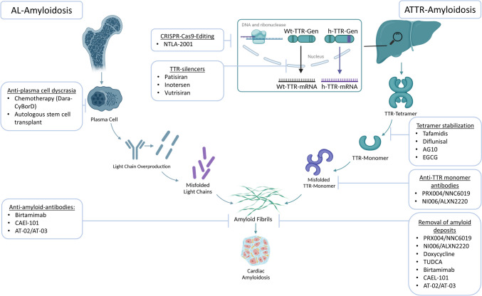 Current Therapies and Future Horizons in Cardiac Amyloidosis Treatment.