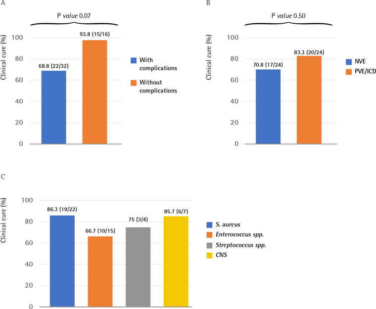 Dalbavancin as consolidation therapy for infective endocarditis in patients with comorbidity. A real world experience.