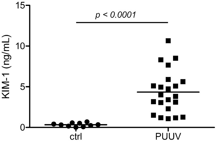 Glomerular Injury Is Associated with Severe Courses of Orthohantavirus Infection.