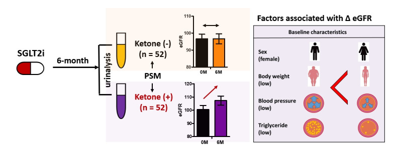 Ketonuria as an Indicator of Improvement of Renal Function in Patients with Type 2 Diabetes Receiving SGLT2 Inhibitor Treatment.