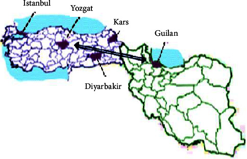 Expanding the Phenotype of Congenital Glucocorticoid Deficiency: An Iranian Patient with Cholestasis due to Pathogenic Variants in the <i>MC2R</i> Gene.