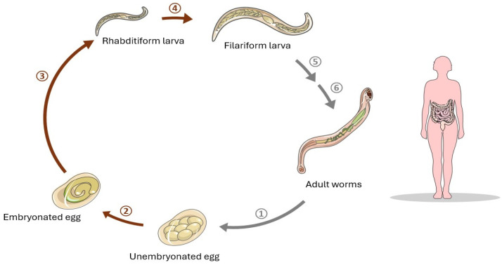 Abstract Image