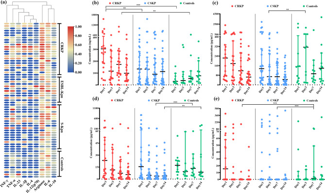 Dynamic cytokine profiles of bloodstream infection caused by Klebsiella pneumoniae in China.
