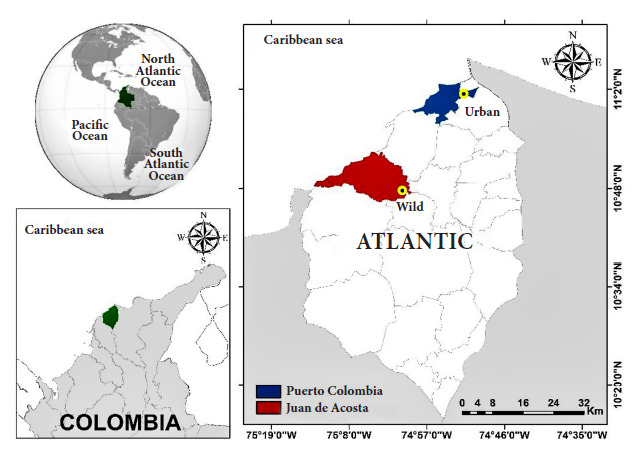Trypanosoma spp. infection in urban and wild ecotopes of the caribbean region in Colombia.