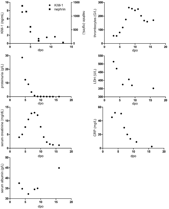 Glomerular Injury Is Associated with Severe Courses of Orthohantavirus Infection.