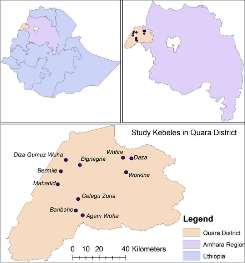 Ethnobotanical study of medicinal plants used to treat human ailments in Quara district, northwestern Ethiopia.