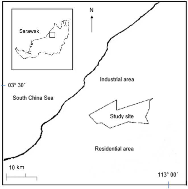 Impact of seasonality and forest stand age on ion deposition in rehabilitated forests.