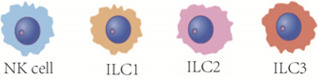 Innate lymphoid cells and infectious diseases.