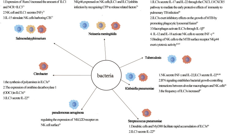 Innate lymphoid cells and infectious diseases.