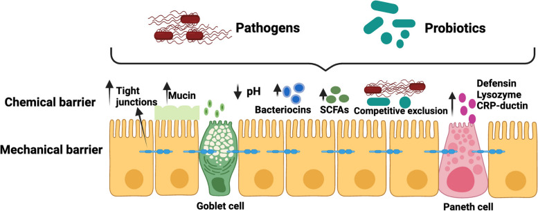 Role of immunomodulatory probiotics in alleviating bacterial diarrhea in piglets: a systematic review.