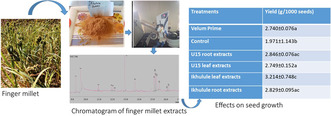 Characterization of finger millet extracts and evaluation of their nematicidal efficacy and plant growth promotion potential.