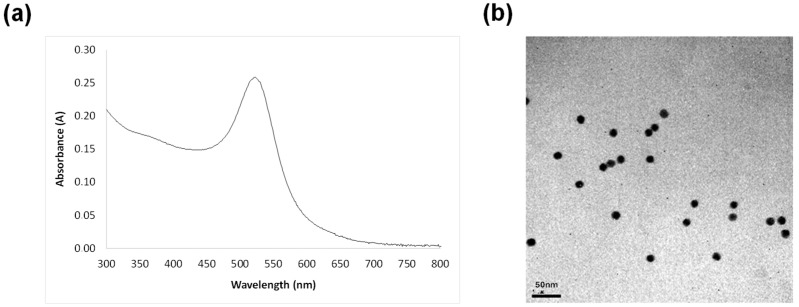 Development of a Gold Nanoparticle-Based Sensor for Authentication of Organic Milk Based on Differential Levels of miRNA.