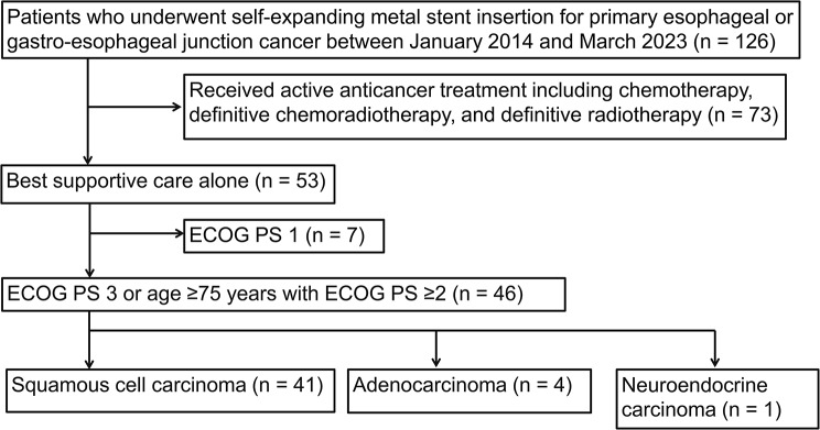 Palliative use of self-expanding metal stents in initially anticancer treatment-intolerant patients with esophageal cancer.