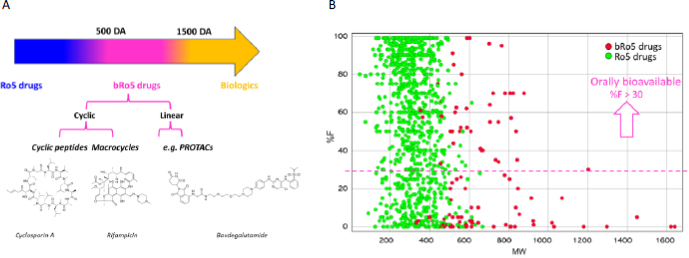Molecular properties, including chameleonicity, as essential tools for designing the next generation of oral beyond rule of five drugs.