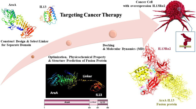 Anticancer and bioactivity effect of the AraA-IL13 fusion protein on the glioblastoma cell line.