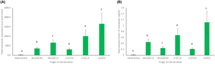 Characterization of finger millet extracts and evaluation of their nematicidal efficacy and plant growth promotion potential.