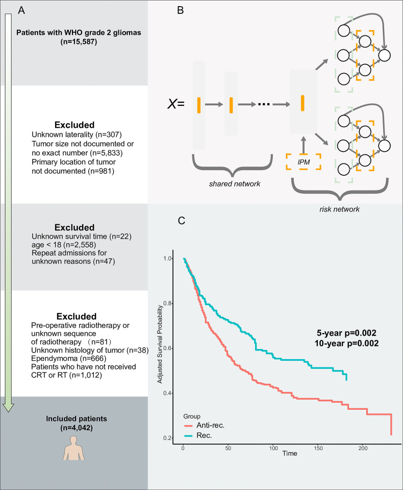 Utilizing machine learning to tailor radiotherapy and chemoradiotherapy for low-grade glioma patients.
