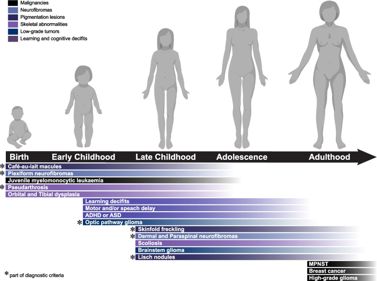 Unraveling neuronal and metabolic alterations in neurofibromatosis type 1.