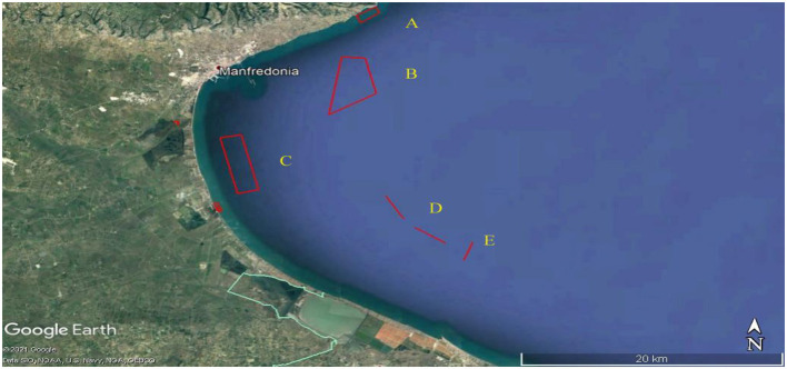 Abstract Image