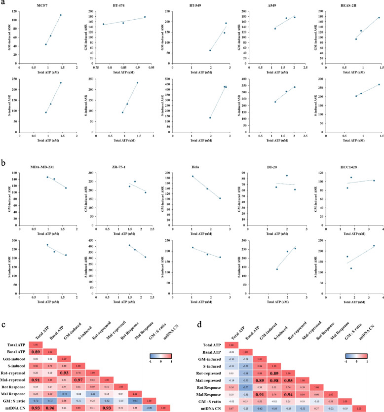 Real-time assessment of relative mitochondrial ATP synthesis response against inhibiting and stimulating substrates (MitoRAISE).