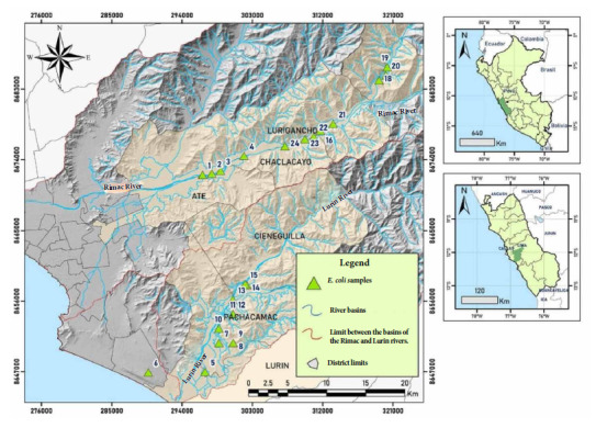 Resistance to cephalosporins and quinolones in Escherichia coli isolated from irrigation water from the Rímac river in east Lima, Peru.