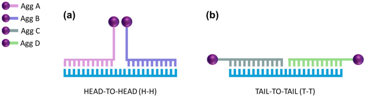 Development of a Gold Nanoparticle-Based Sensor for Authentication of Organic Milk Based on Differential Levels of miRNA.