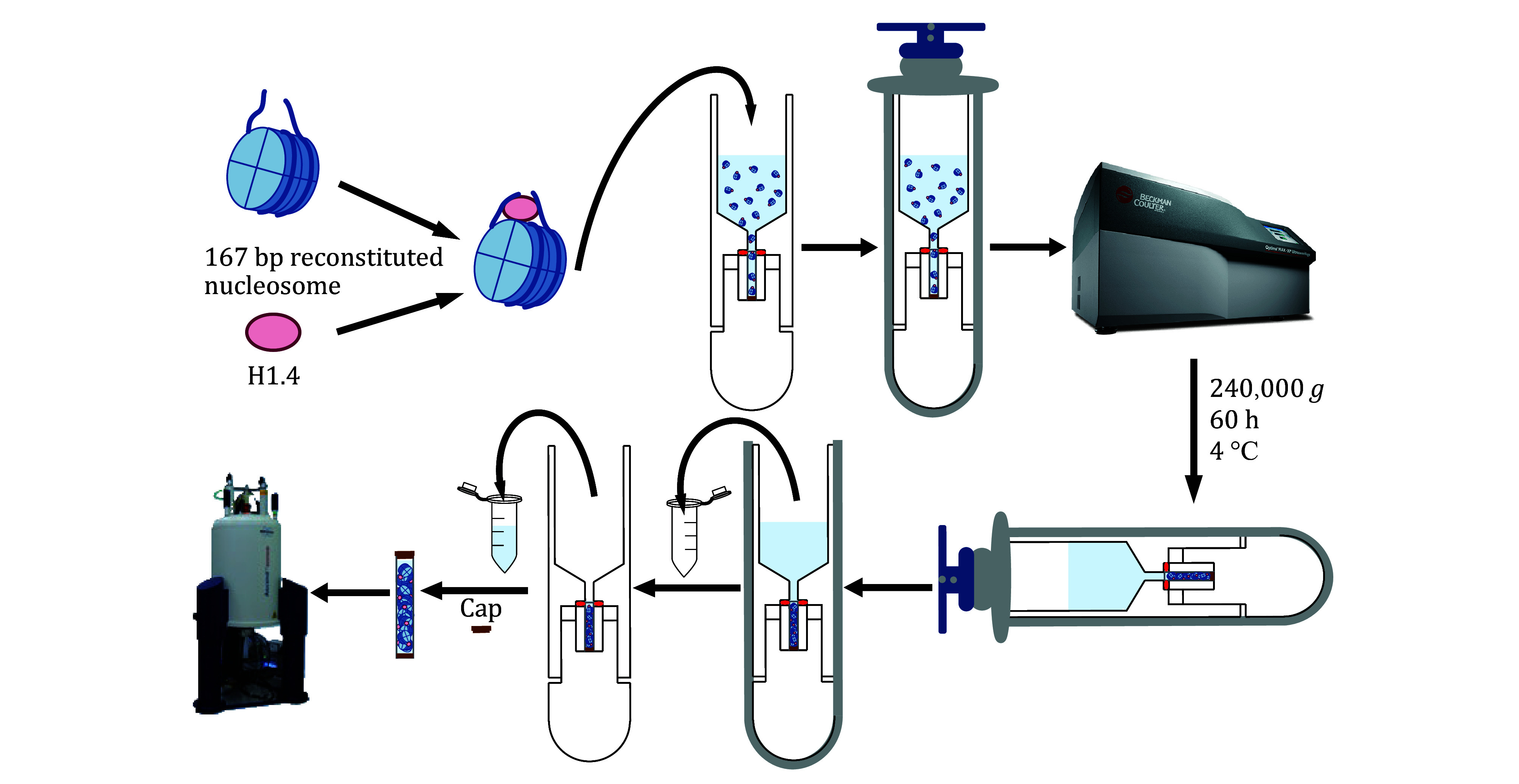 Studying large biomolecules as sedimented solutes with solid-state NMR.