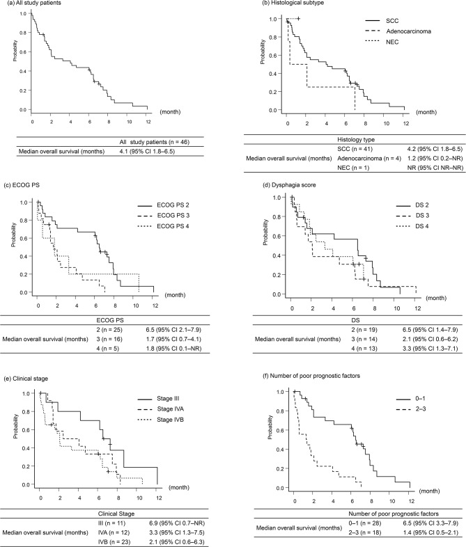 Palliative use of self-expanding metal stents in initially anticancer treatment-intolerant patients with esophageal cancer.