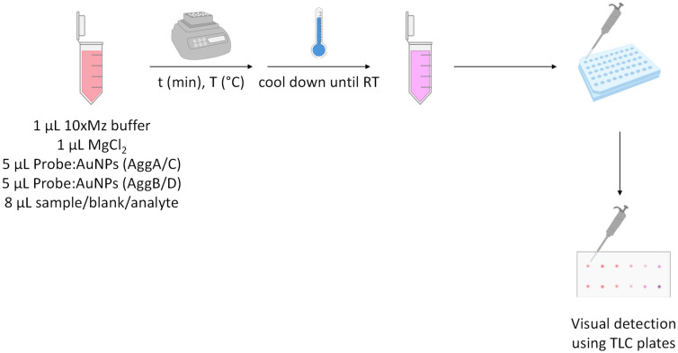 Development of a Gold Nanoparticle-Based Sensor for Authentication of Organic Milk Based on Differential Levels of miRNA.