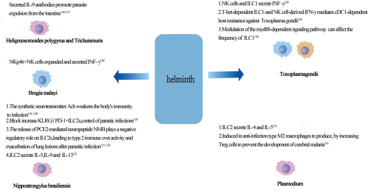Innate lymphoid cells and infectious diseases.