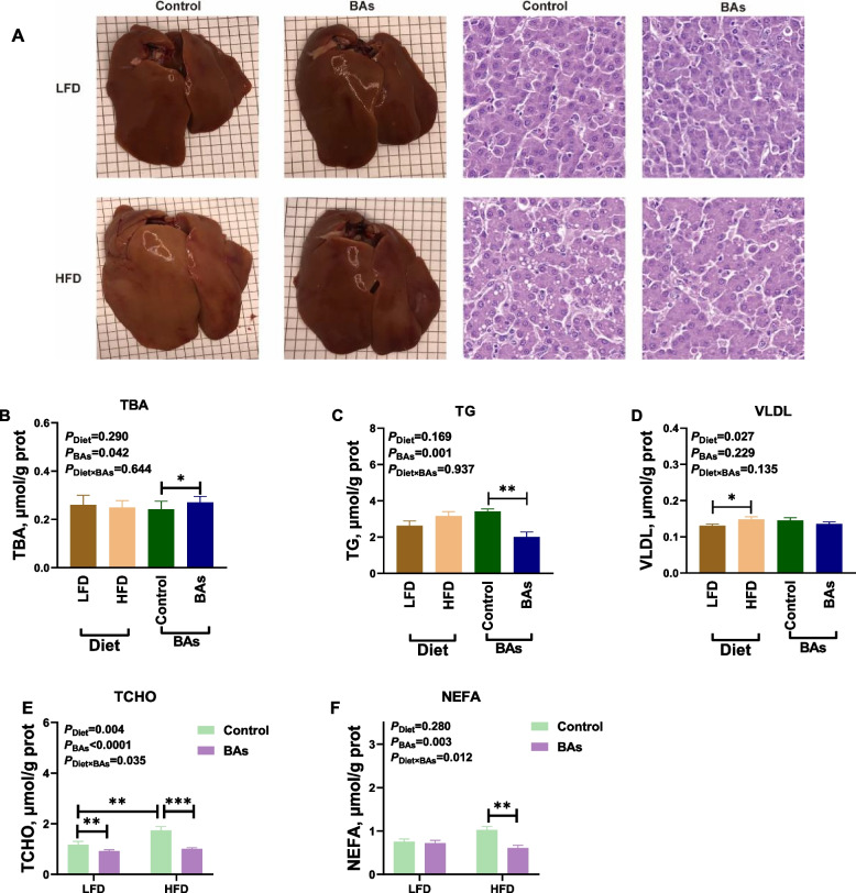 Dietary bile acids supplementation decreases hepatic fat deposition with the involvement of altered gut microbiota and liver bile acids profile in broiler chickens.