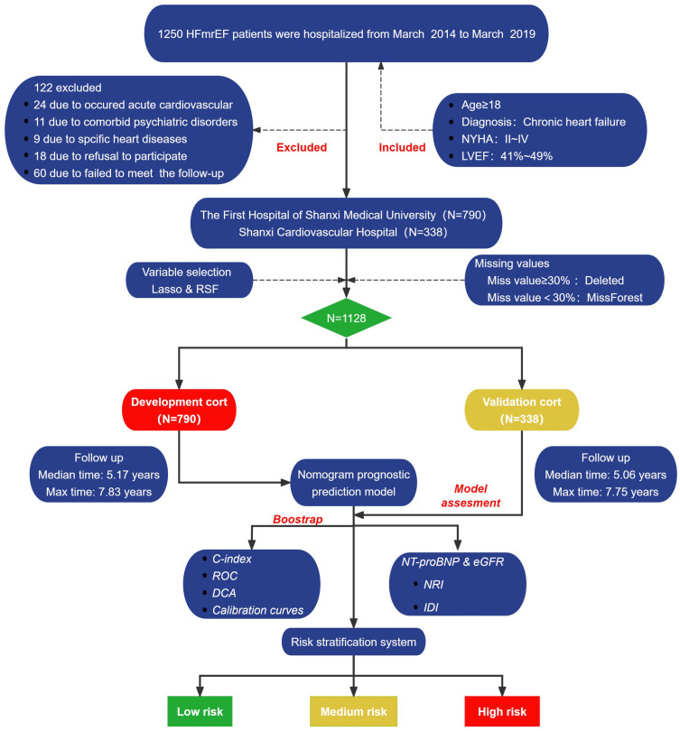 Web-Based Dynamic Nomogram for Predicting Risk of Mortality in Heart Failure with Mildly Reduced Ejection Fraction.