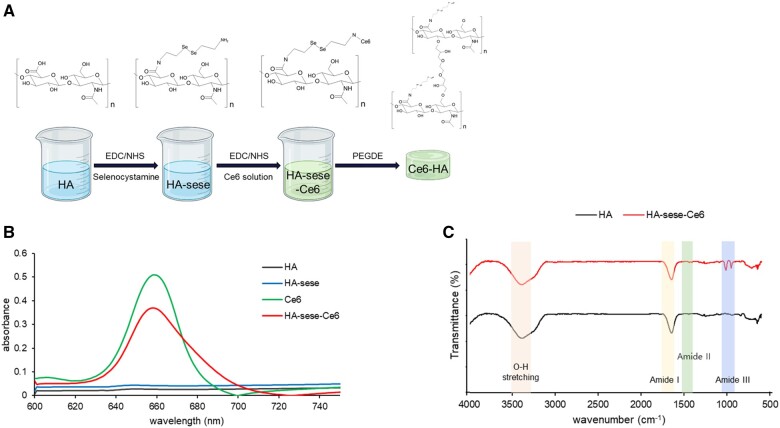 A promising strategy for combating bacterial infections through the use of light-triggered ROS in Ce6-immobilized hydrogels.