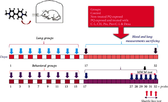 Systemic and Lung Inflammation and Oxidative Stress Associated With Behavioral Changes Induced by Inhaled Paraquat Are Ameliorated by Carvacrol.