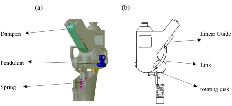 Biomechanical Comparison of Novel Adaptive Swing-Phase Control Mechanical Knee Prostheses with 3R60 and 3R15 in Trans-Femoral Amputees.