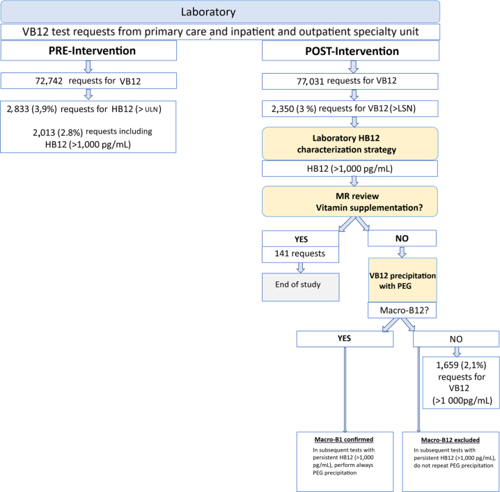 Impact of laboratory involvement in the characterization of B12 hypervitaminosis in clinical practice.