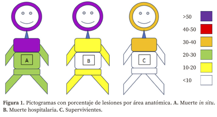 [Analysis of serious trauma injury patterns in Navarre (Spain) (2010-2019)].